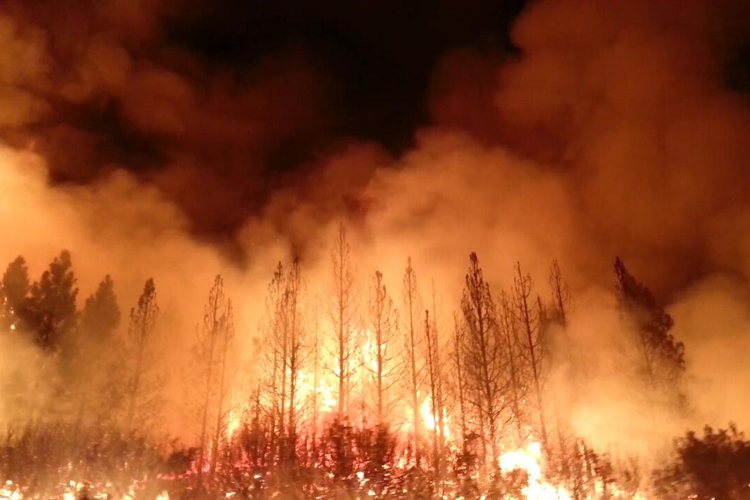 Rim Fire, California - related image preview